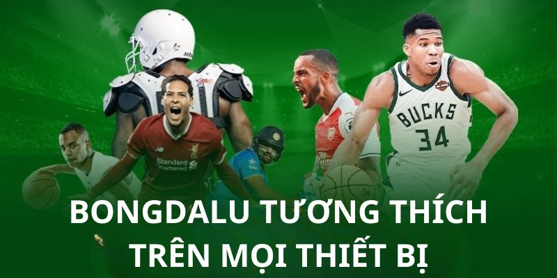 Trang web tương thích trên mọi thiết bị truy cập